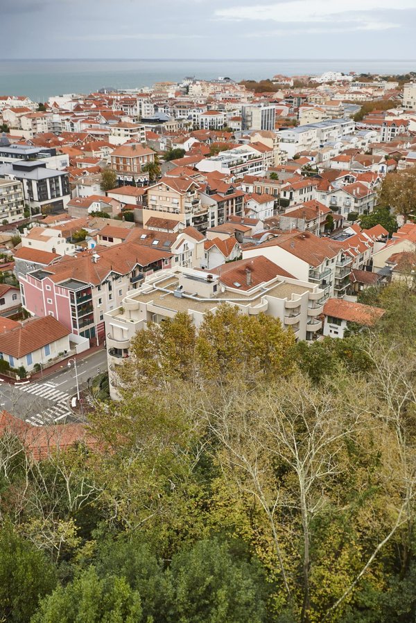 Which UK cruises have the best onboard observatories for astronomy enthusiasts?